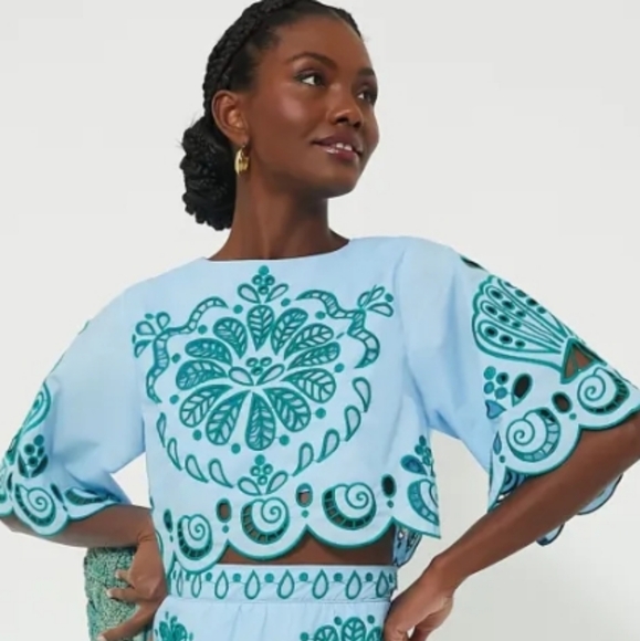 Farm Rio Richelieu Light Blue And Green Cropped Scalloped Hem Top Size XL Cotton - Picture 3 of 15